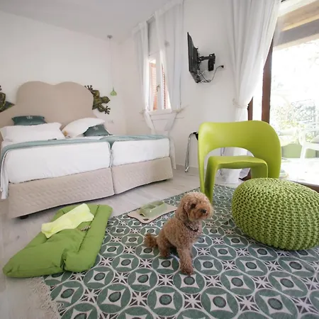 Guest house Geco Di Giada Art - Adult Only *