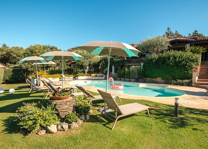 Geco Di Giada Art - Adult Only