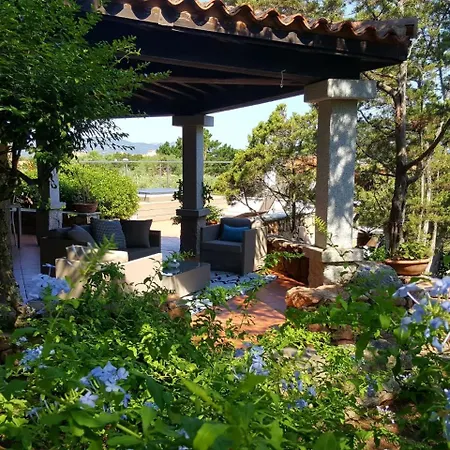 Geco Di Giada Art - Adult Only * Porto Rotondo