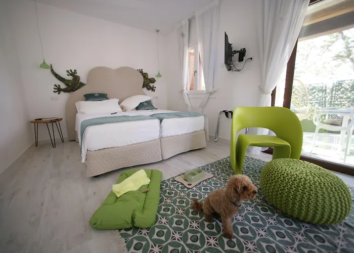 Geco Di Giada Art - Adult Only Porto Rotondo