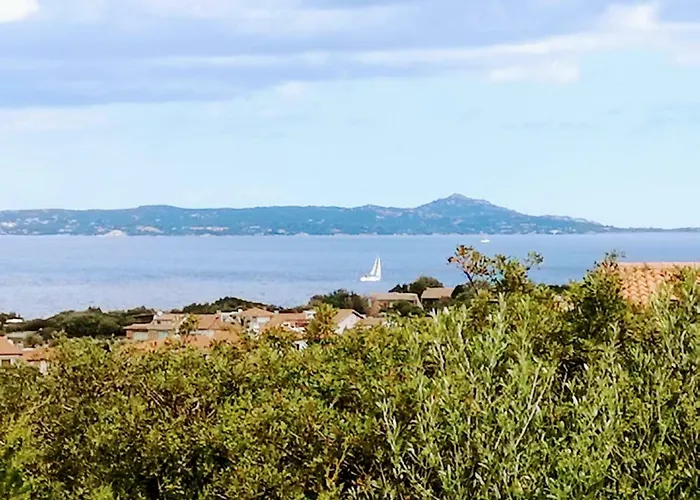 Geco Di Giada Art - Adult Only 4*